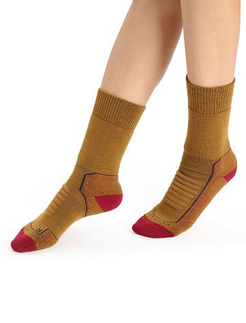 Clove / Cherry Women's Icebreaker Merino Hike+ Heavy Crew Socks | USA 1448BEXC